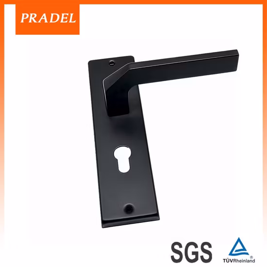 Goldfarbene Villa-Konstruktion, dekorative Hardware, ausgefallene Türgriffe mit Platte